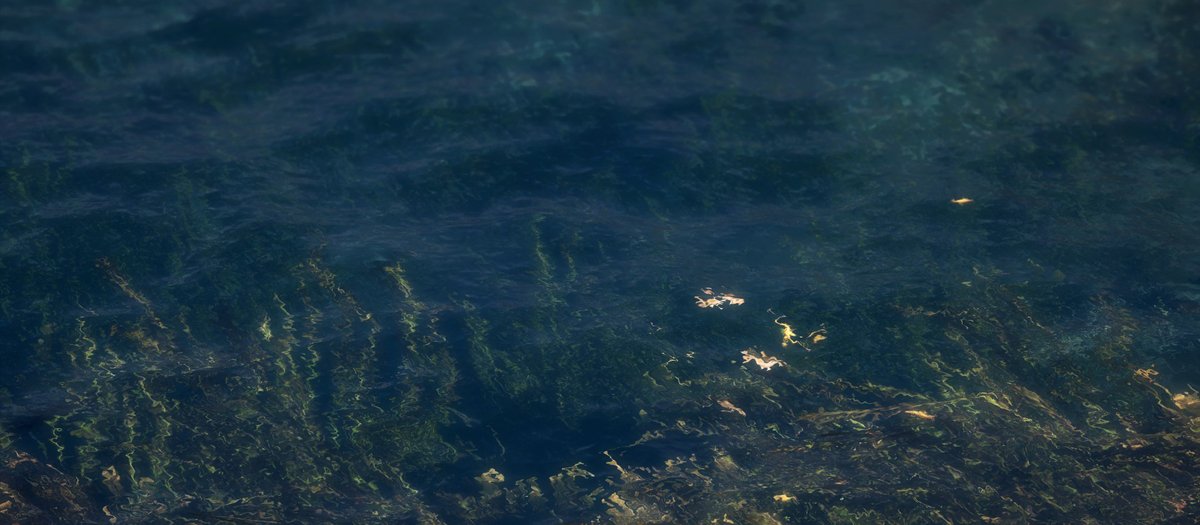 _ismebio_'s tweet image. Day 10 _ Sea

@codextober #codextober #AssassinsCreedOdyssey #AssassinsCreed #VirtualPhotography