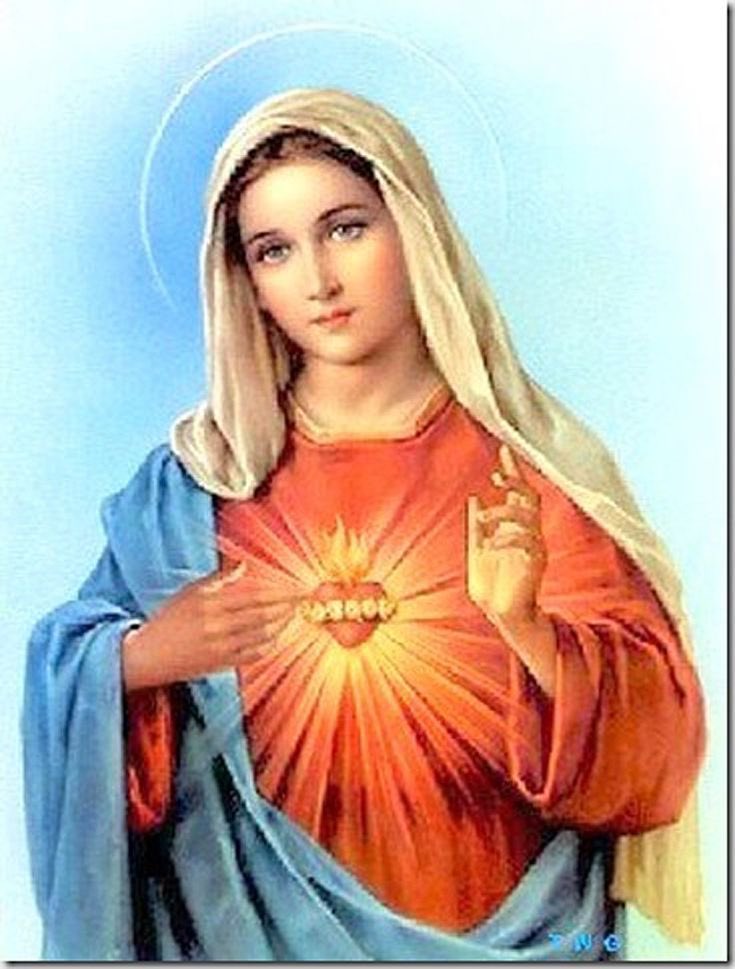 Luciiicandii's tweet image. Hoy trabajando atendí a un grupo de 82 niños (de unos 15 años ) a lo que en un momento voy a preguntar a una de ellas sobre su comida y al levantar la mirada del móvil me doy cuenta que tiene de fondo a rickyedit como una estampita y literal no pude mantenerme seria JAJAJA