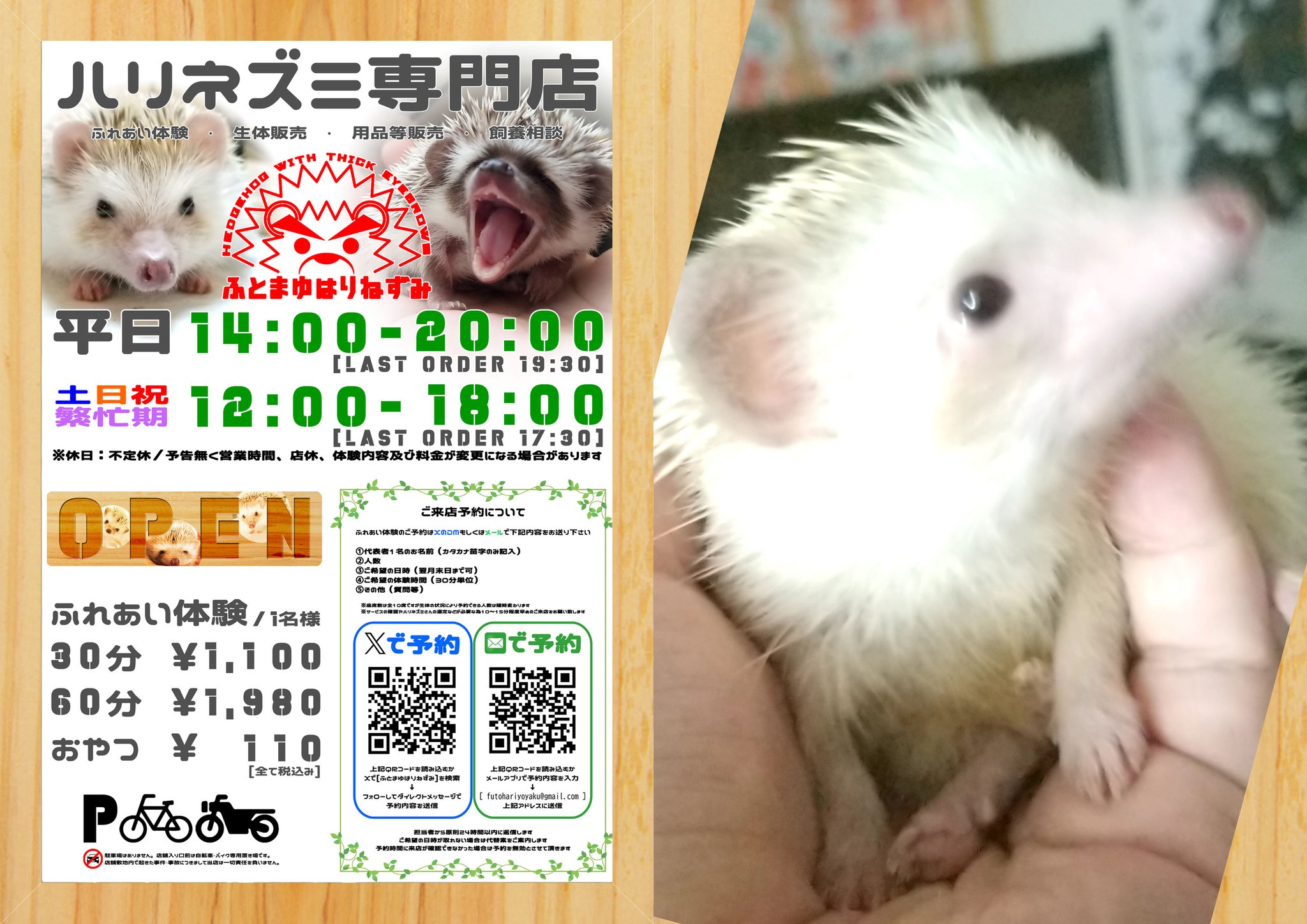 値下げ↓カール　クラフトパンチ　廃盤レア　ハリネズミ　親子はりねずみ カール クラフトパンチ本体 ハリネズミ 動物 レア - メルカリ