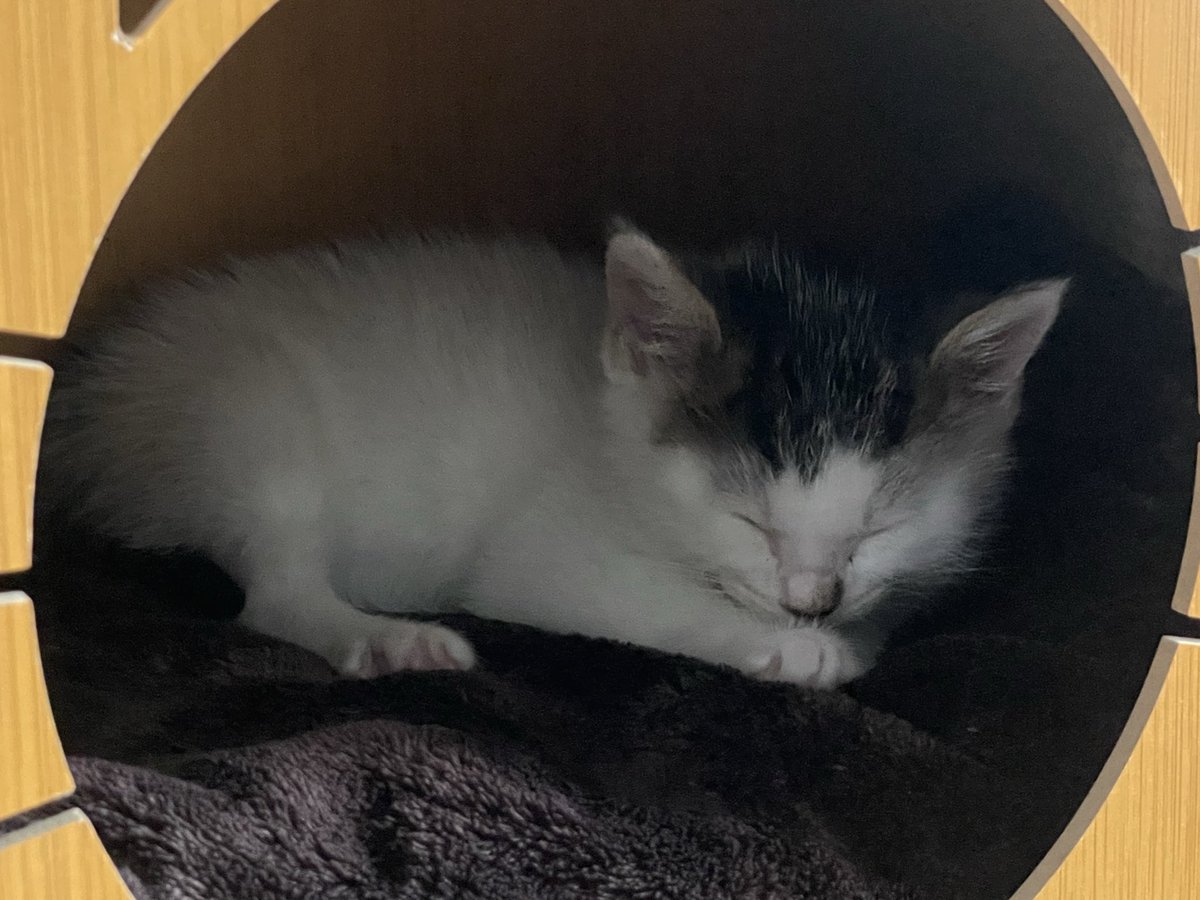 건강하구행복할게ㅇ..
… Zzz