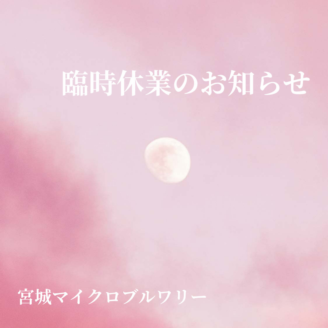 宮城マイクロブルワリーです✨      
【お詫び】  
誠に勝手ながら10/13は臨時休業とさせて頂きます。 
深くお詫び申し上げます。
--------------------------------------                
follow me♡Instagram               
instagram.com/natori_kankou/…
--------------------------------------