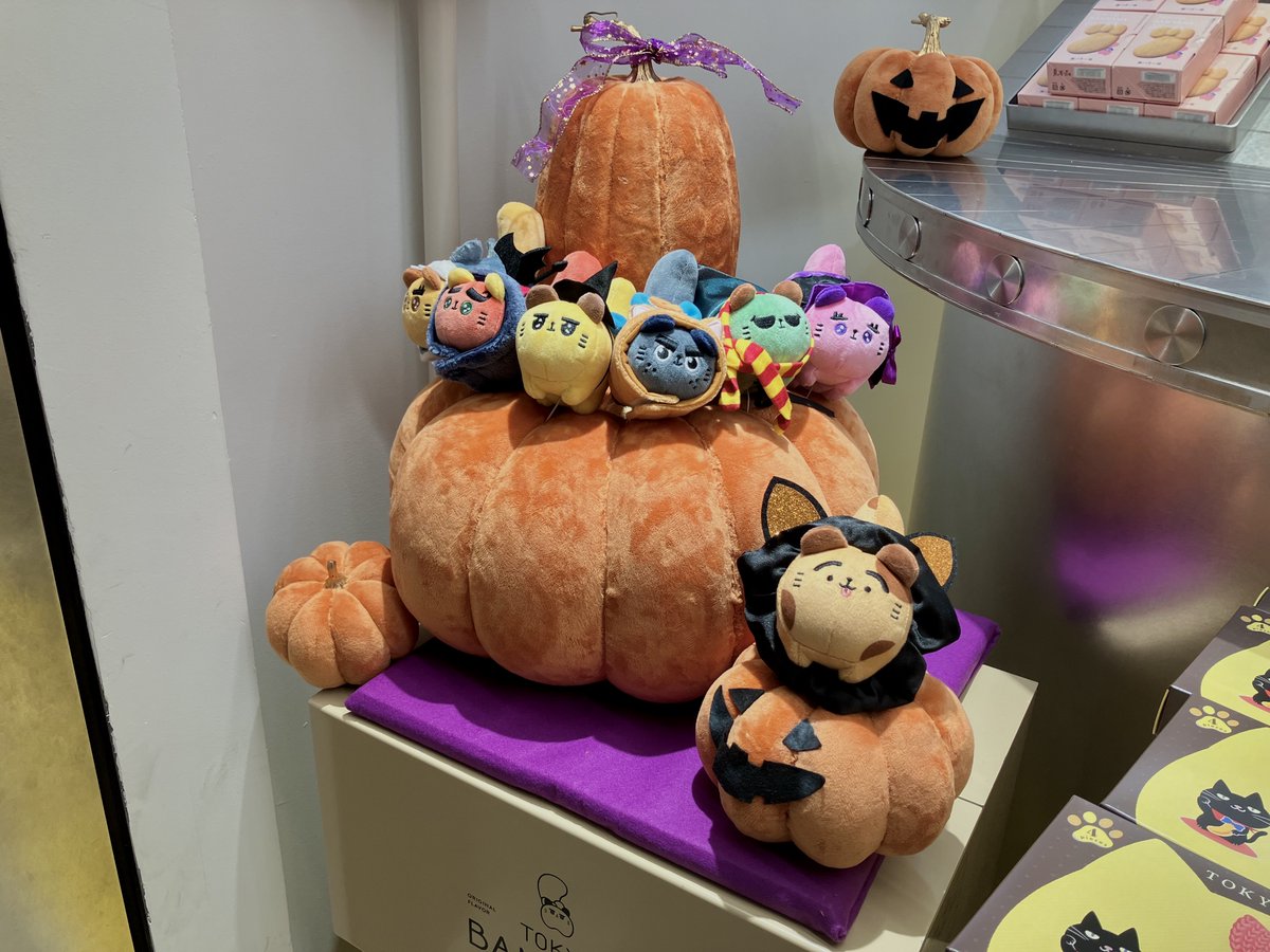 かわいい😳💜🎃