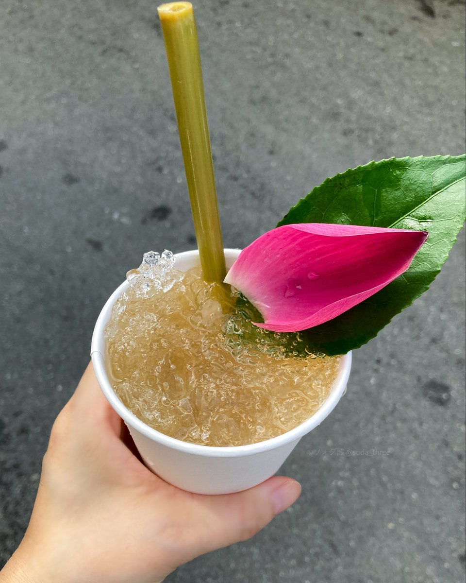 soda_three's tweet photo. ホイアンで人気のハーブティー。
漢方薬局の家系らしく、体に良さそうな素材が店頭にずらり。
緑茶ベースで甘さひかえめ。レモングラスと生姜はなんとなく感じられるけど、
クセがなくゴクゴクいけちゃう。
クラッシュアイスでしっかり冷やされるのに、なぜかお腹が温まります。

📍Mót Hội An https://t.co/EjY14uSskP