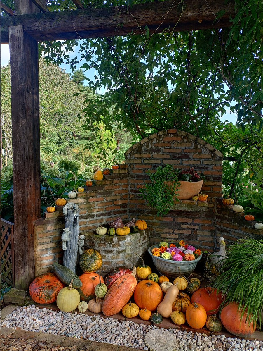 木村 卓功（きむらたくのり） tweet media