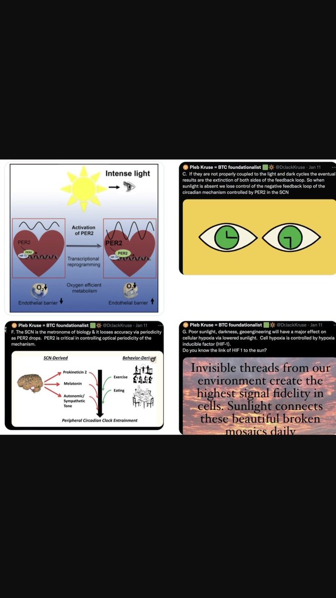 LongevityExplor's tweet image. 