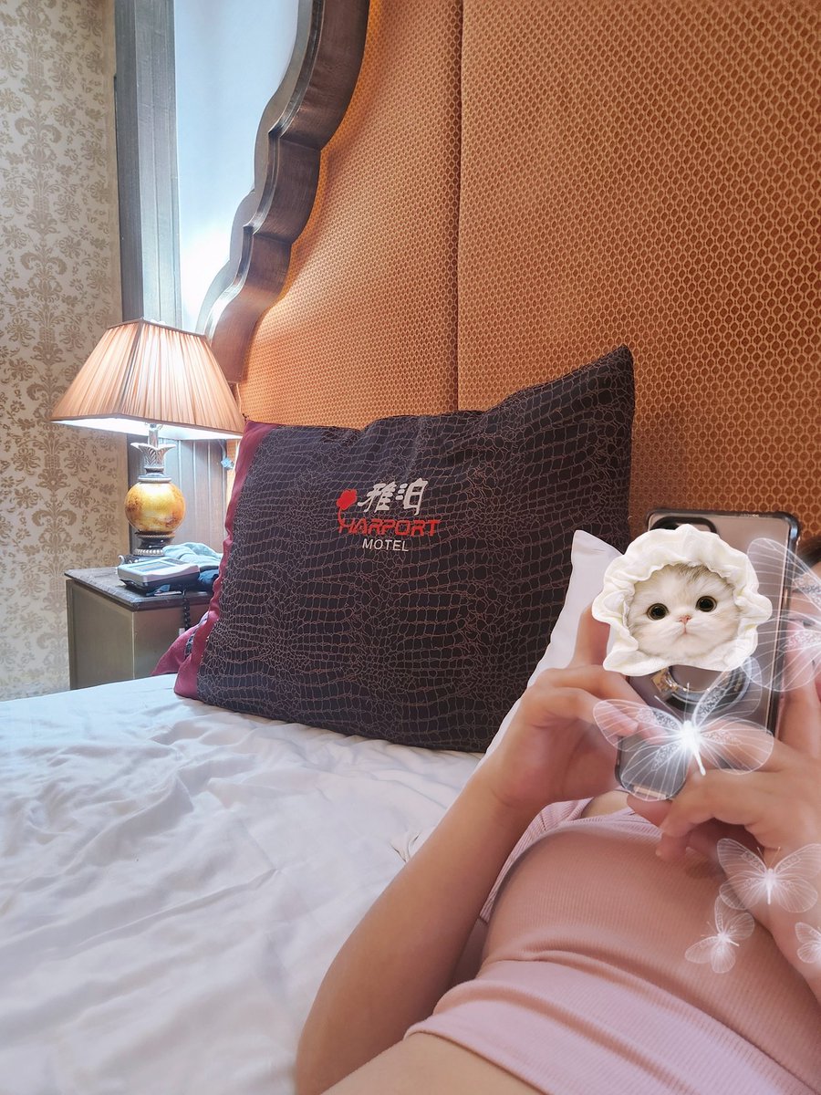 妮的寵物 tweet media