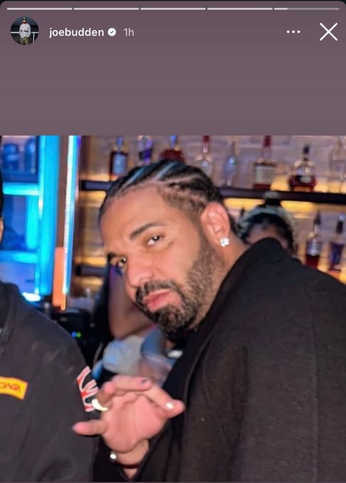 hippiehoe tweet media