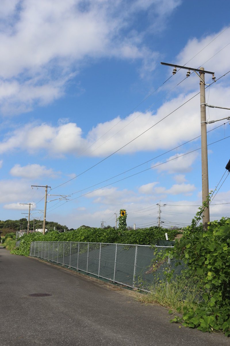 jikko680687's tweet photo. 【今日の787系Vol.2】2025/10/10(Fri)
5004M特急にちりん4号 宮崎空港6:43発 大分行き(大分10:07着)
787系 BM13編成(本ミフ)
#787系 #BM13 #南福岡車両区 #日豊本線 #大在駅 #坂ノ市駅 https://t.co/49K3hSi8Ml