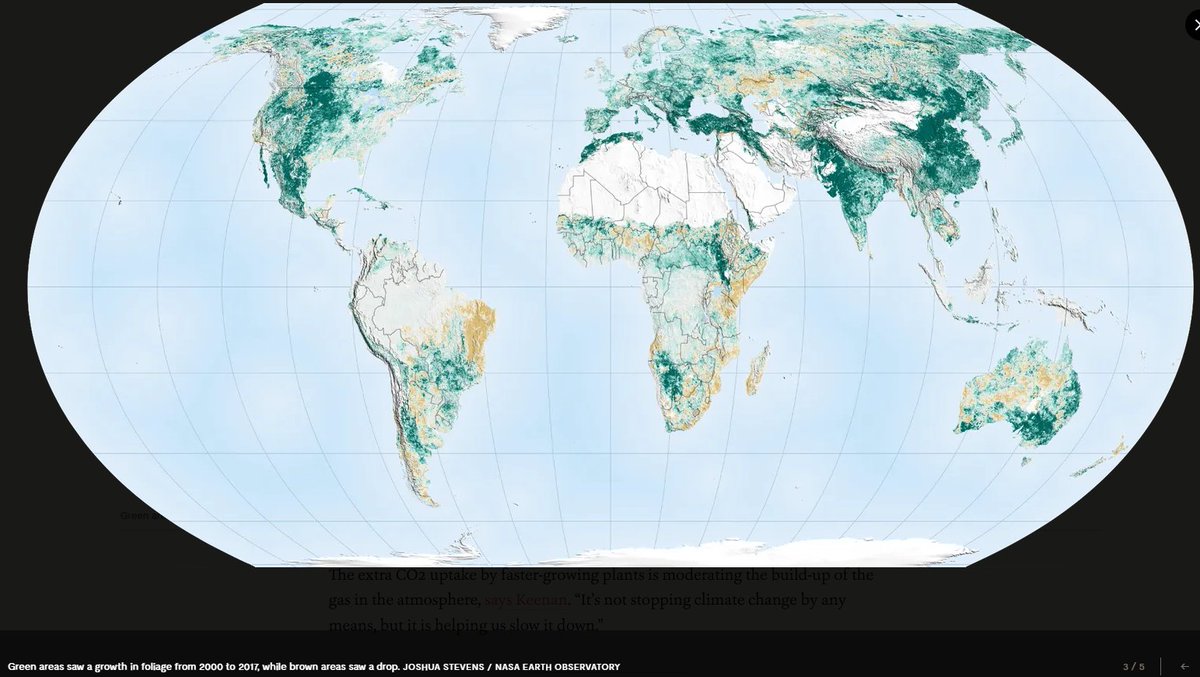 Here is what NASA satellite data show about the increase of vegetation leaf area index (greening) as a result of climate change... Note that most of Africa's dry lands are getting greener!