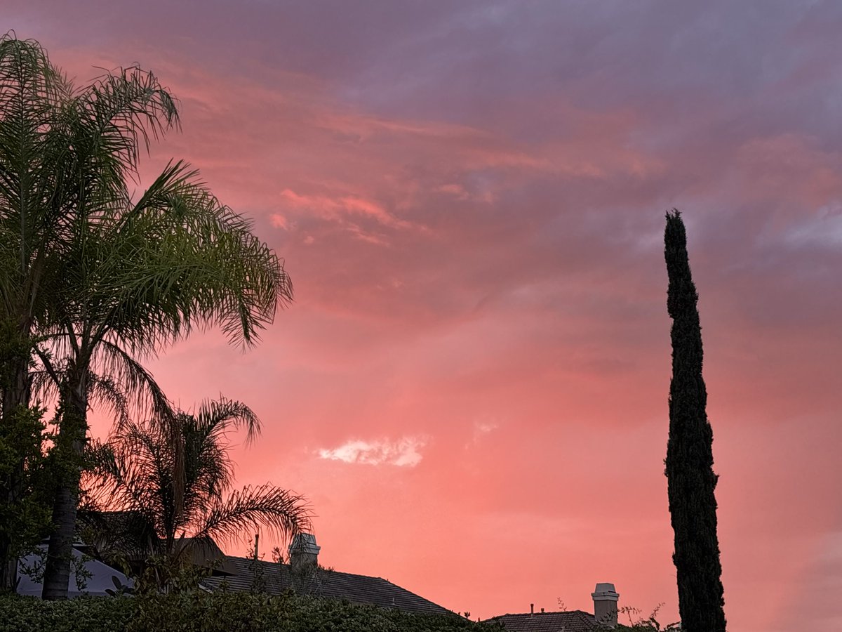 Michael Taiwo tweet media