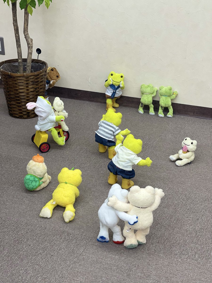 ご無沙汰にしております🙇‍♂️

ヒュウマのみんなは変わらず元気です🫶✨

#かえるのピクスル
#picklesthefrog
#ぬい撮り
#飛馬日本