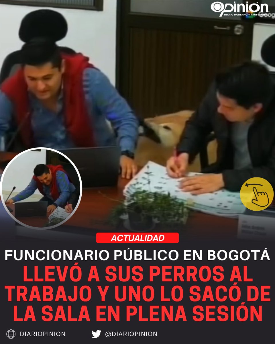 diariopinion's tweet image. #Atención | 🐶💼 ¡Un momento tierno y divertido en plena sesión!

Durante una reunión de la Junta Administradora Local de Chapinero, el #edil Nicolás Velasco llevó a sus perritos, pero uno de ellos se robó el protagonismo 👉 h1.nu/1h8Kp