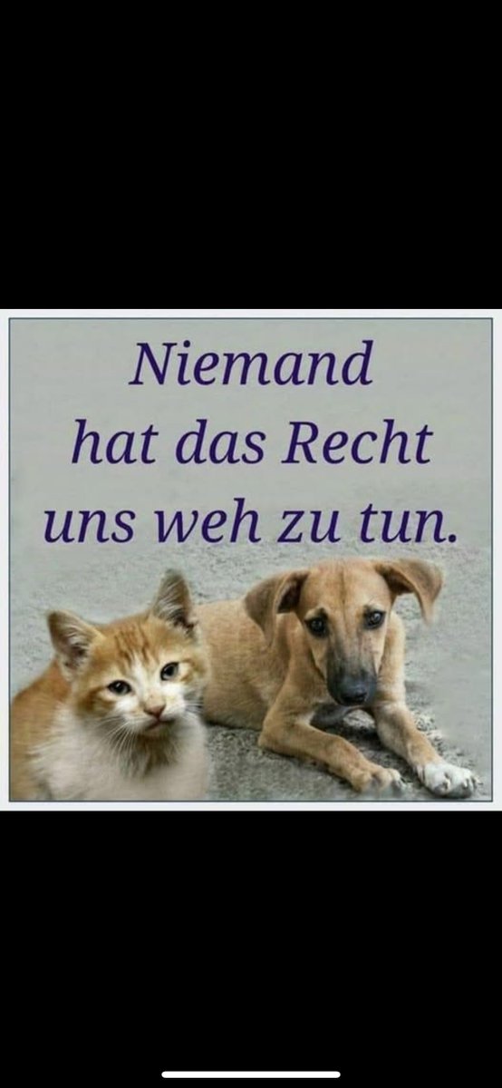 ICE9311's tweet image. 