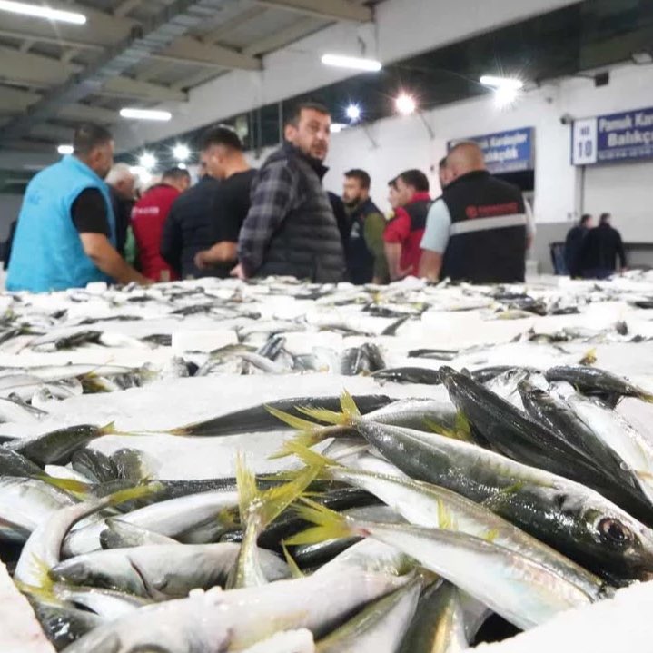 Balığın tadını zamlar kaçırdı

Av azlığı ve maliyet artışları balık fiyatlarını vurdu. Halde zam şampiyonu palamut olurken, vatandaş tezgaha yaklaşamıyor.

nefes.com.tr/baligin-tadini…