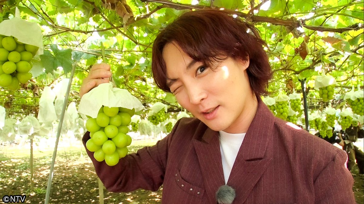 shu1tv's tweet image. ⋱ 𝟏𝟎月𝟏𝟏日(土) のシューイチ☝🏻⋰

あさ8時25分ごろ〜
プレミアム
山梨旅（フルーツ編）
￣￣￣￣￣￣￣￣￣￣￣
❝フルーツ王国❞山梨県🍇
今行くべき秋の山梨を紹介！

今が旬のシャインマスカットの食べ放題に挑戦！
美味しい実の見分け方とは？
さらに旬のフルーツをふんだんに使った…