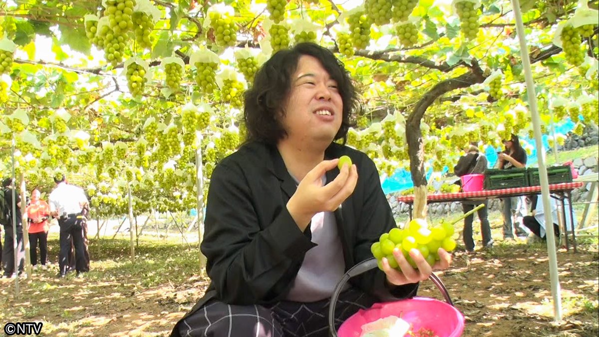shu1tv's tweet image. ⋱ 𝟏𝟎月𝟏𝟏日(土) のシューイチ☝🏻⋰

あさ8時25分ごろ〜
プレミアム
山梨旅（フルーツ編）
￣￣￣￣￣￣￣￣￣￣￣
❝フルーツ王国❞山梨県🍇
今行くべき秋の山梨を紹介！

今が旬のシャインマスカットの食べ放題に挑戦！
美味しい実の見分け方とは？
さらに旬のフルーツをふんだんに使った…