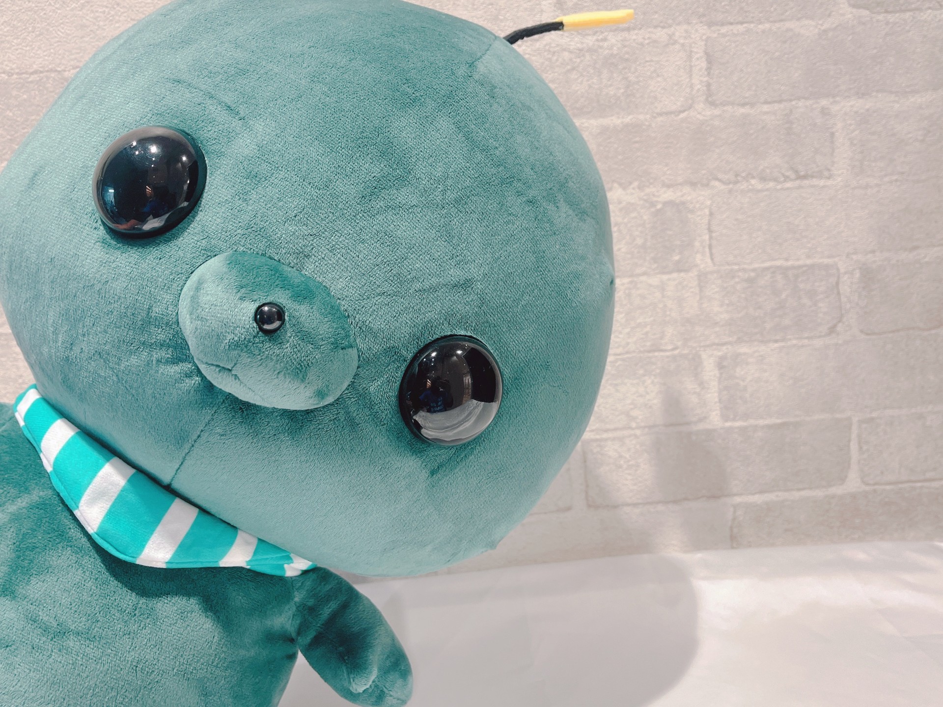 りょうへいページ りょうへい (@ryouhei0815) / X