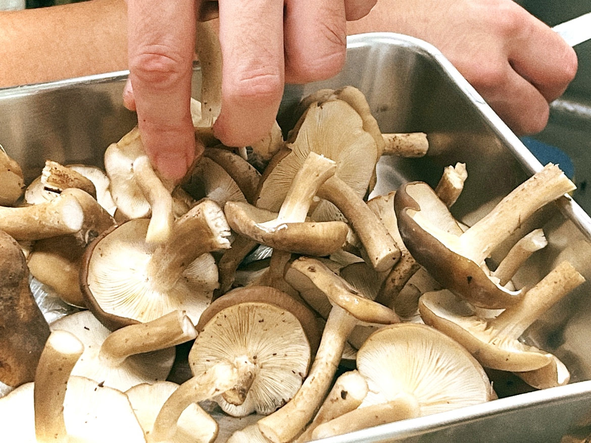 現在西和賀町はきのこ祭りです！🍄
ディナーでは天然きのこはもちろん、
スーパーでは見かけない貴重なきのこもご用意してます✨