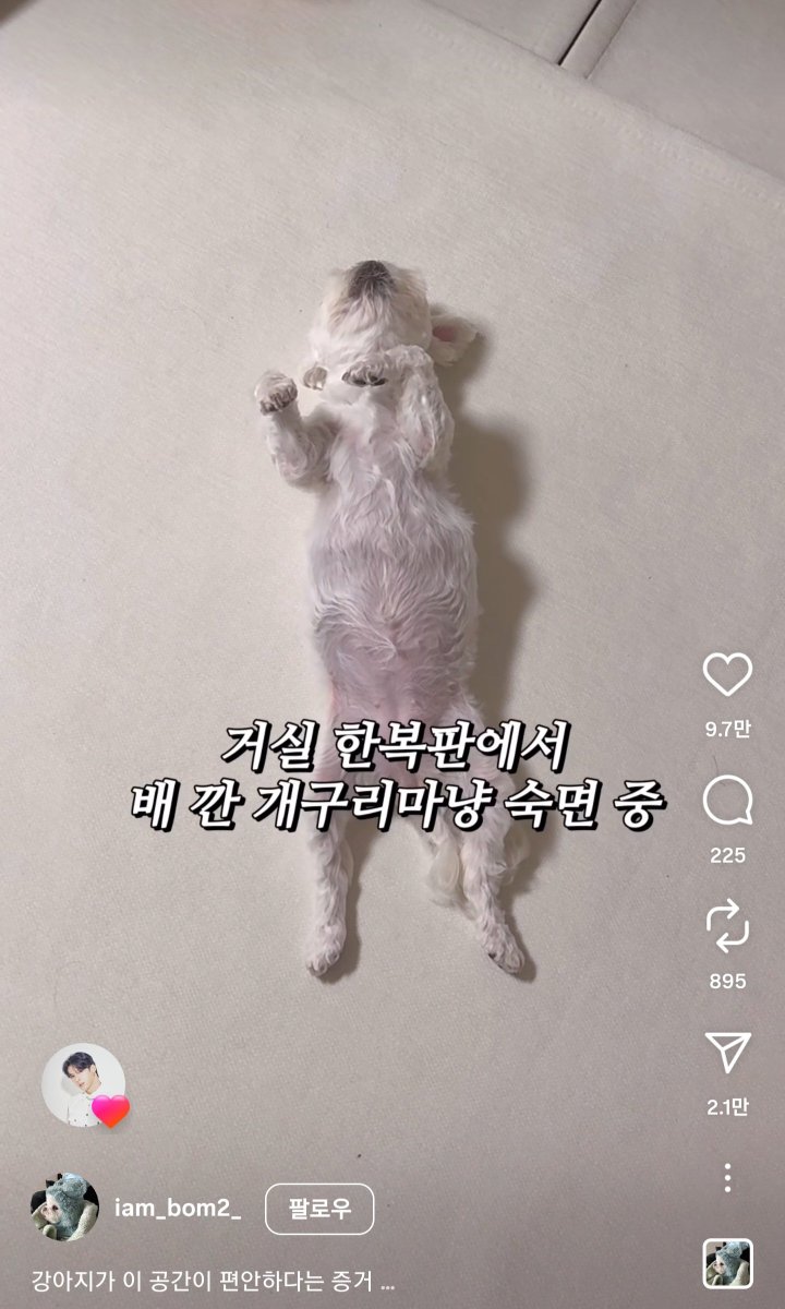 인서타 보다가 가나디 계정에서 내 최애가 뿅하고 나타날 때의 미친기여움이란....