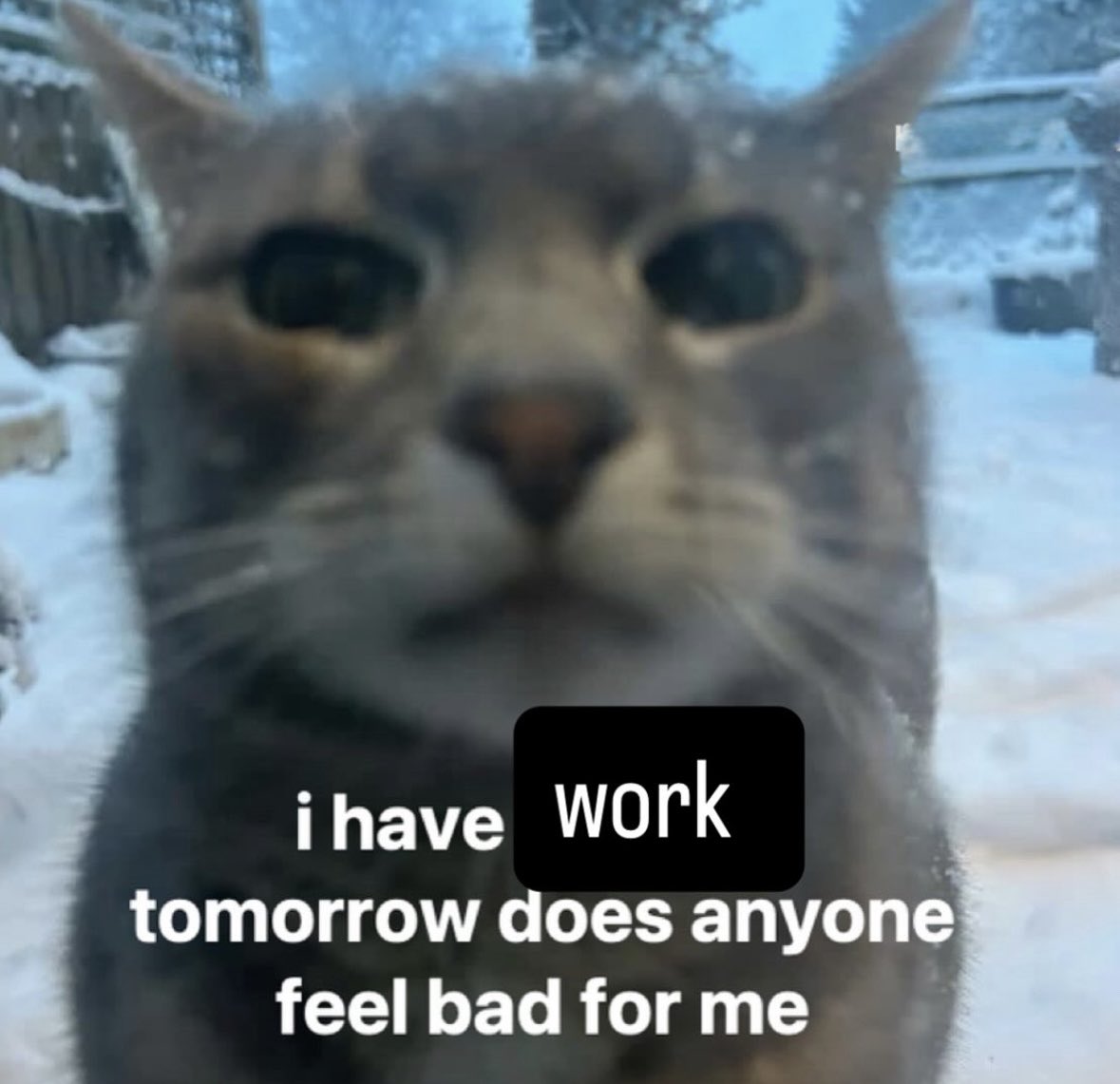 RespectfulMemes's tweet photo. https://t.co/LtNJzoQ4xp