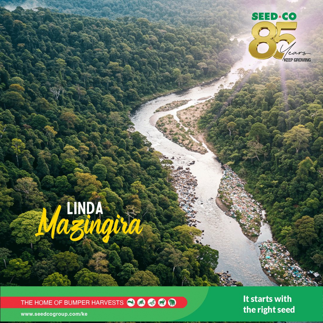 Mazingira Day reminds us that protecting the environment is protecting ourselves. It’s not just about trees, rivers, and skies—it’s about securing food, clean air, and a future for generations to come. Today, let’s choose to be guardians of the earth.