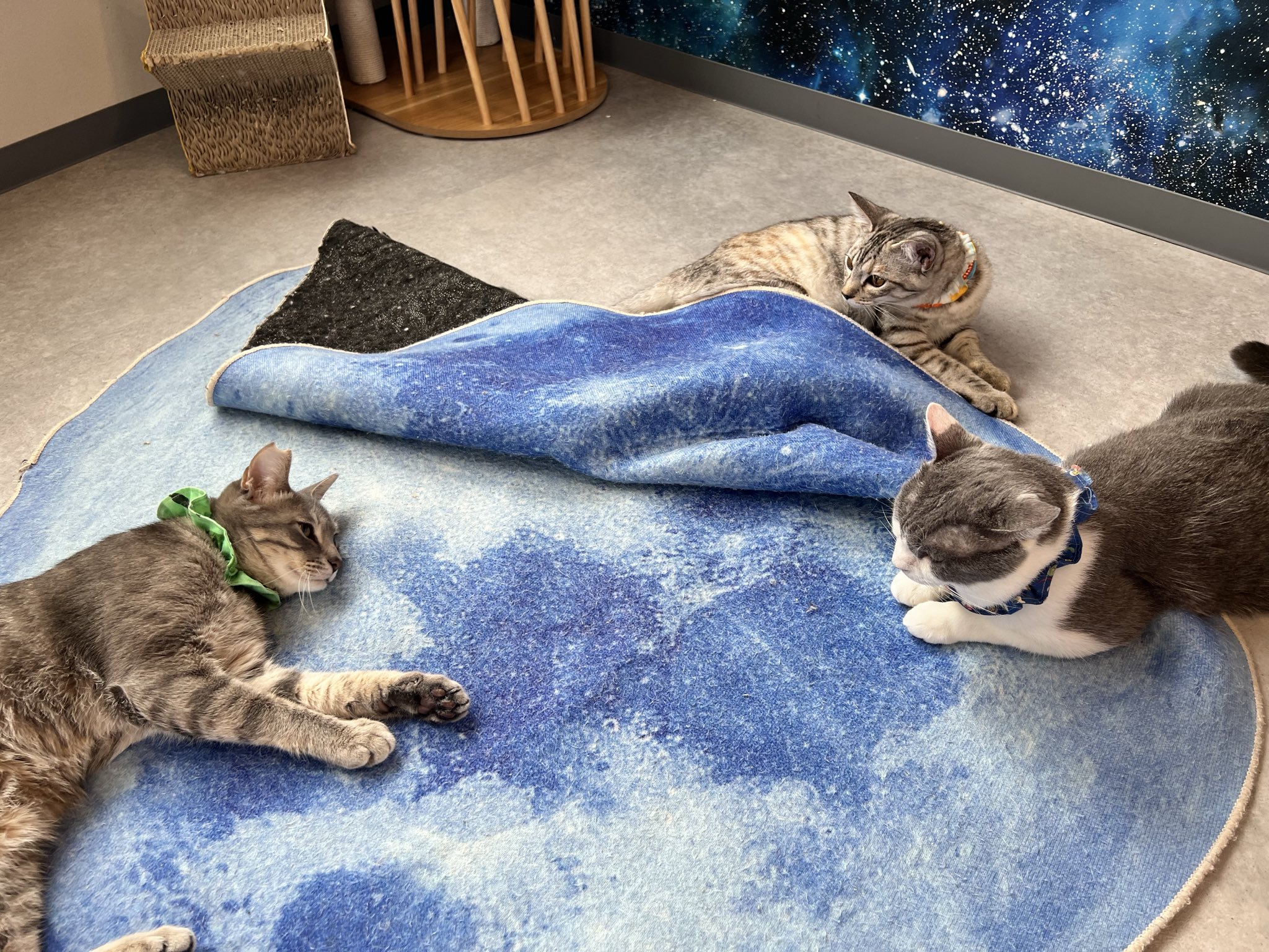 雷十太先生 (@asjSvnCZl18wKXM) / X