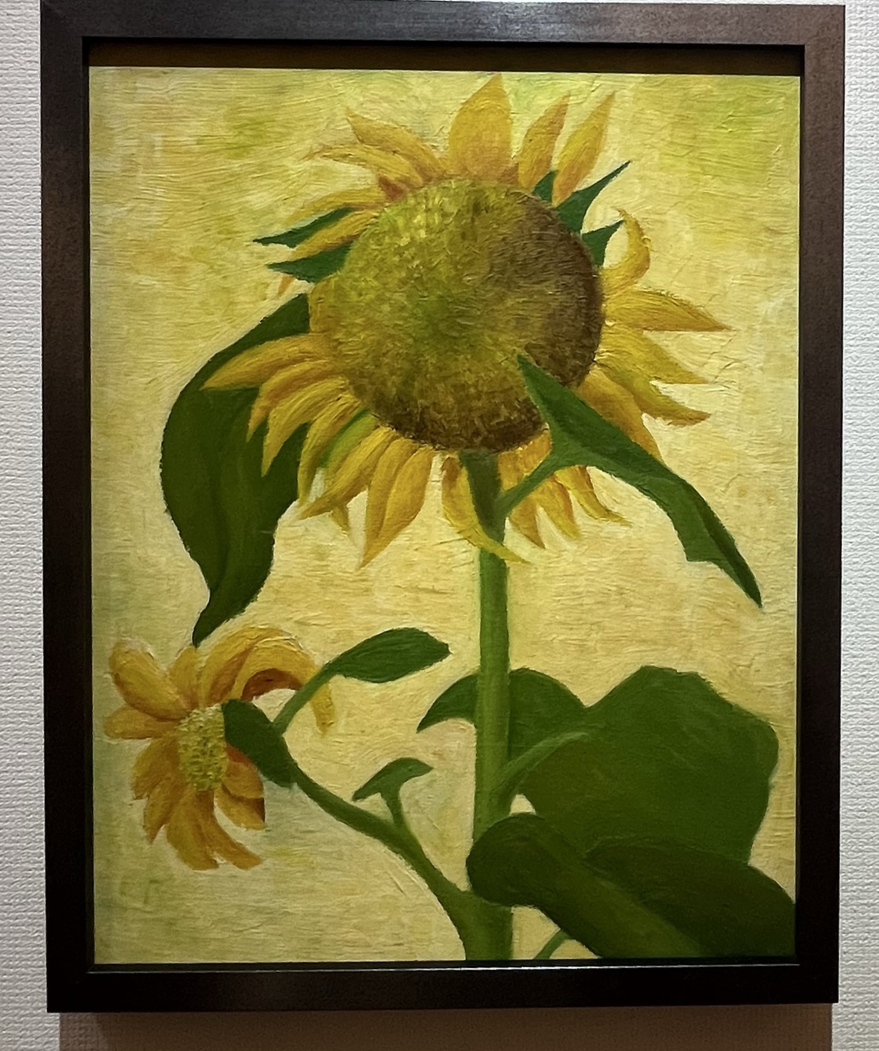 ✾ひまわりページ①✾ Amazon | Capoda 24個 マグネットボーダー 教室用 ホワイト