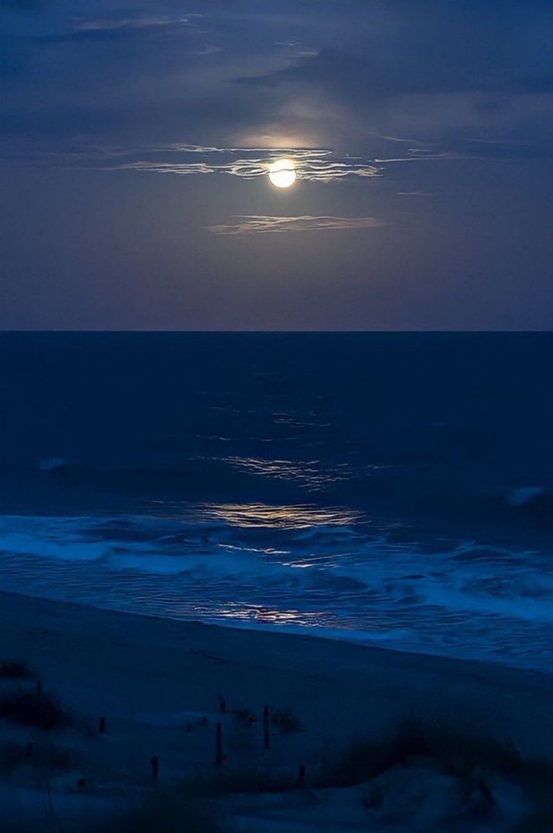 M1ONLOVER's tweet photo. Ocean Moon https://t.co/2HC8eqViRD