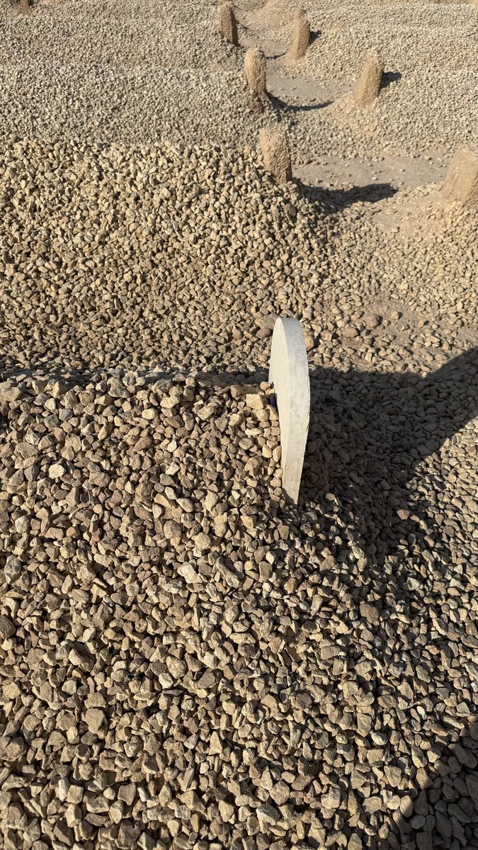 اللهم اغفر له وارحمه وعافه واعف عنه وأكرم نزله وأوسع مدخله واغسله بالماء والثلج والبرد ونقه من الذنوب والخطايا كما ينقى الثوب الأبيض من الدنس وأبدله دارا خيرا من داره وزوجا خيرا من زوجه وأدخله الجنة وأعذه من عذاب القبر وعذاب النار
#عبدالله_الشلهوب
#يوسف_الشلهوب
#يوم_الجمعة ١٨