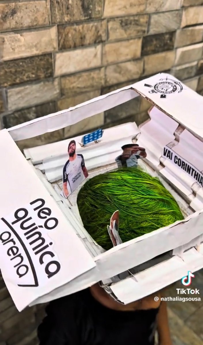 rdgarro's tweet photo. fizeram a neo química arena no dia do cabelo maluco mds kkkkkkkkkkkkkkkkk ficou muito bom https://t.co/kod9UC9Zoh
