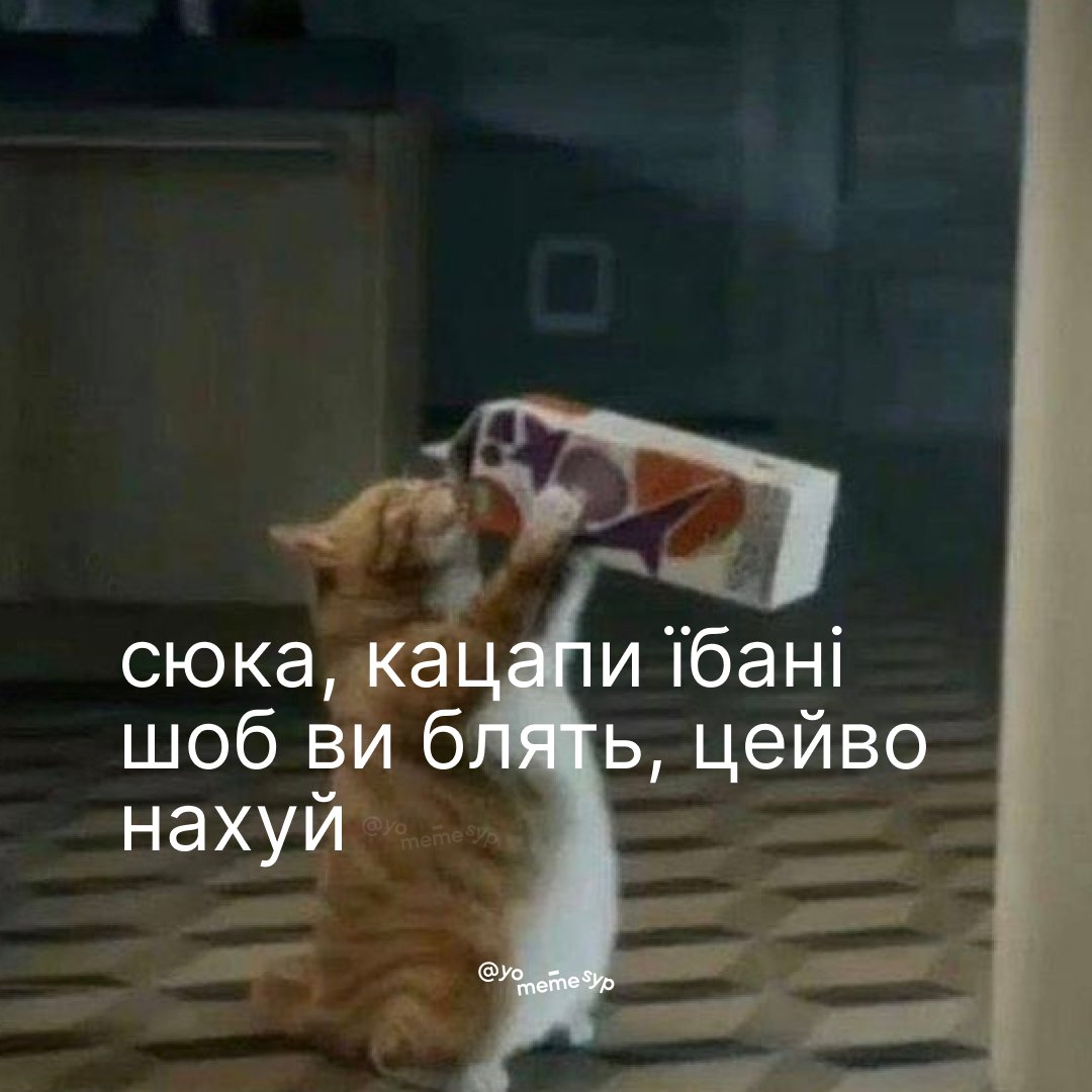yo_syp's tweet image. Да