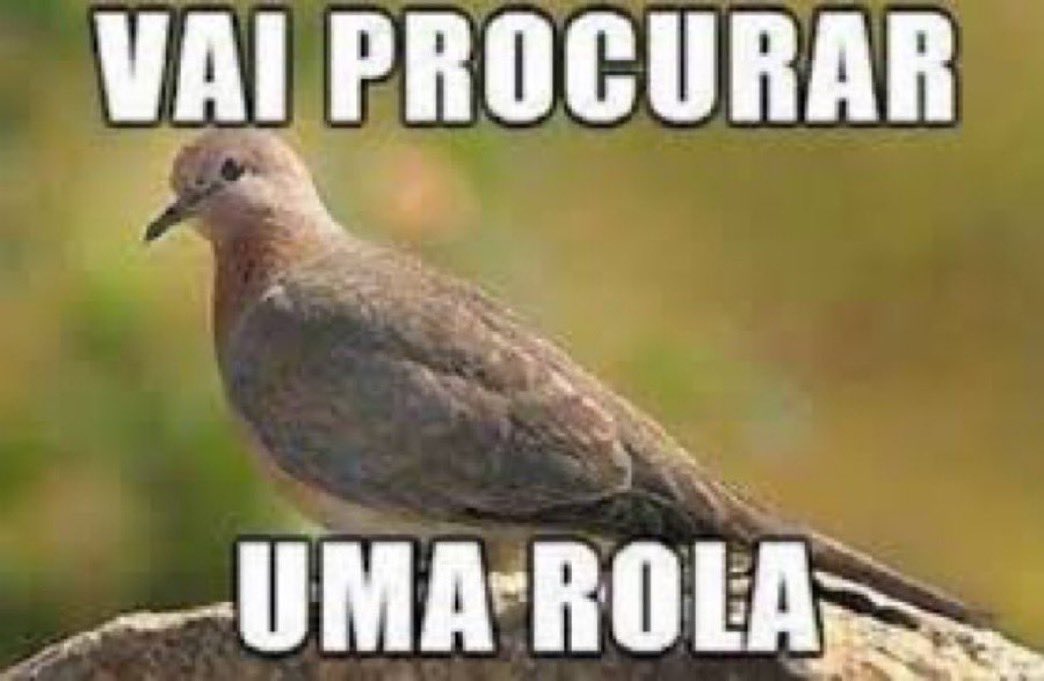 PortmanRead's tweet photo. @CarlosBolsonaro https://t.co/YQkyIhAZik