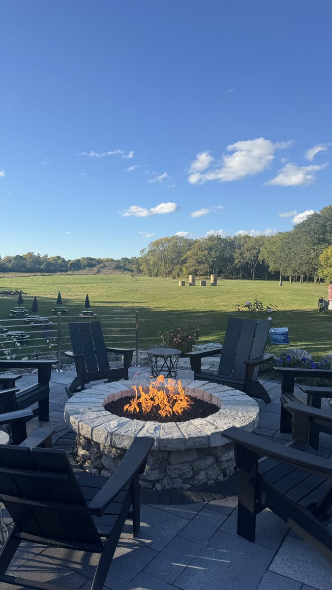 Jamie Hall tweet media