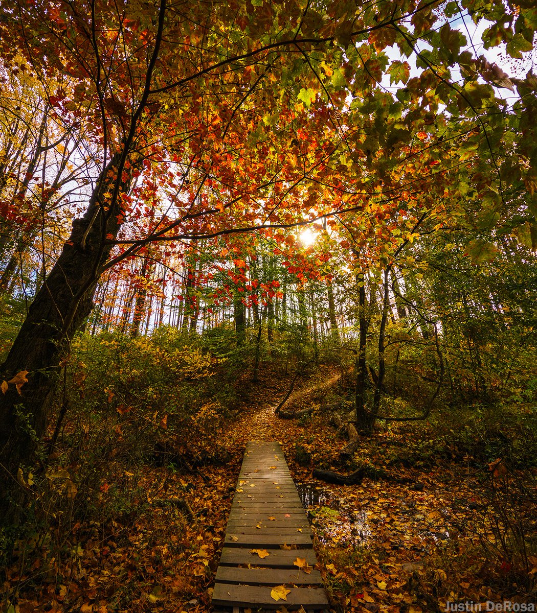 Justinterfacing's tweet image. An Unforgettable Journey