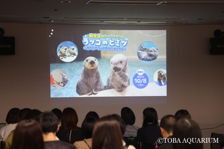 ラッコのヒミツ、全部出し！？: １０月８日は鳥羽の日ということで、昨年に引き続きラッコのスペシャルイベントを行いました！「ラッコのヒミツ～あなたのラッコ愛がためされる～」というタイトルのもと、ラッコのヒミツを全部出し！午前と午後の部合わせて１６０名のお客様が aquarium.co.jp/diary/2025/10/…