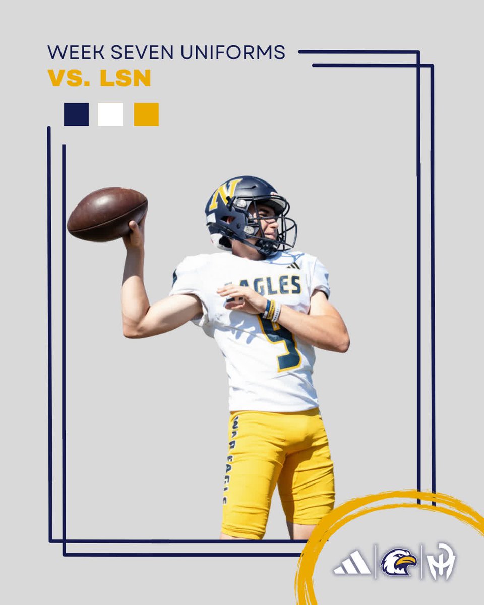 White top. Gold pants. Same birds.

#NarrOW /// WAR 🦅