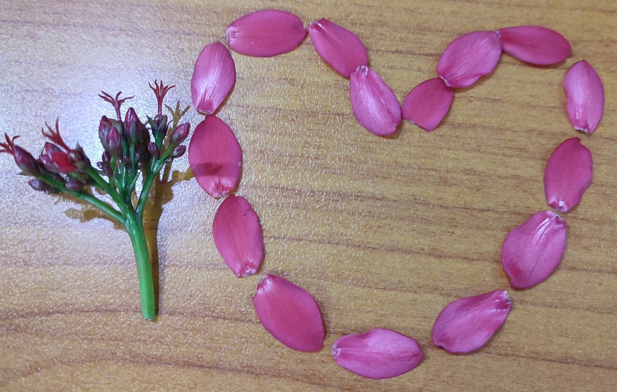 funfixxx's tweet image. I know you can do it, meskipun hidup ga selalu sesuai ekspektasi. Semangaat, lebih baik capek bekerja daripada capek ga kerja 💪💪💪