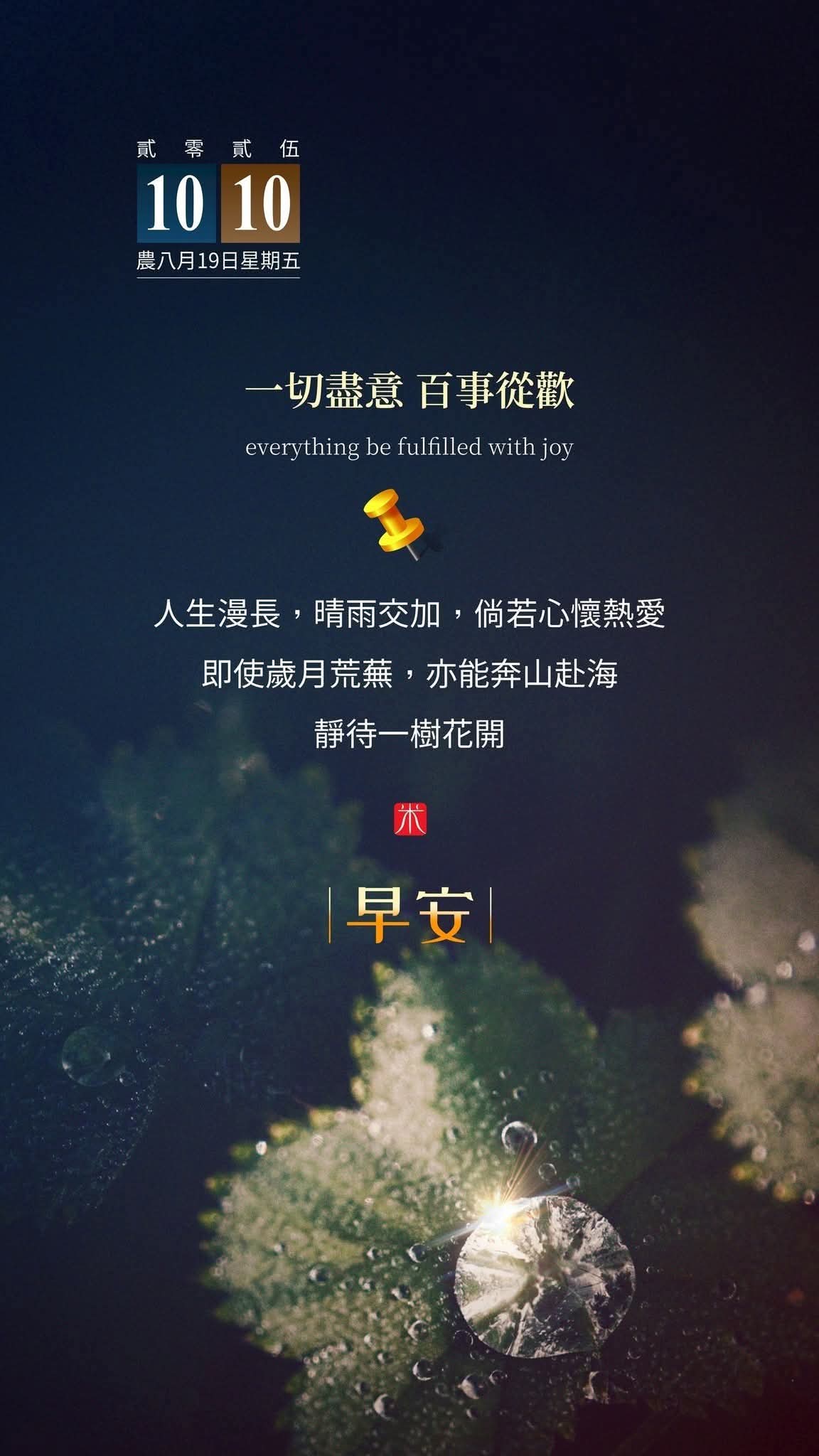 Dark blue background with golden text announcing 10/10 event, featuring celebratory elements like a pin and joyful motifs. Central text in Chinese reads Everything starts with love and ends with joy, emphasizing inner peace over wealth and status. Lower section shows Gratitude Taiwan in yellow, with an image of lush green tea plants covered in dew drops under soft lighting.