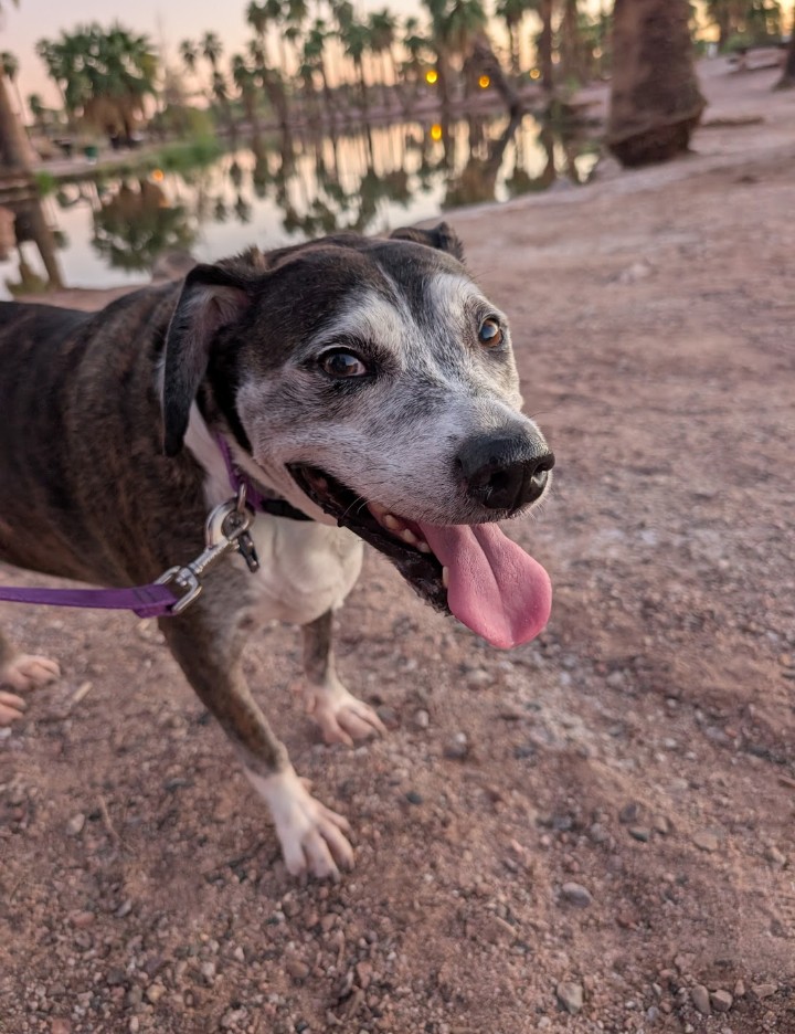 Jeffrey Carroll tweet media