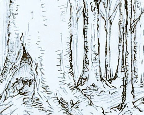 げっきん🌙*.｡ tweet media