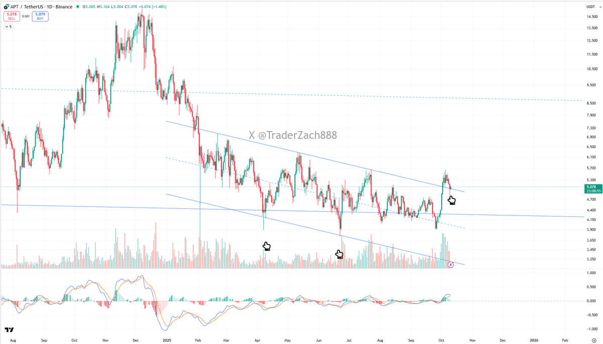 Trader Zach | 小扎 tweet media