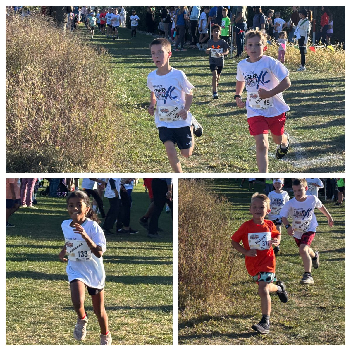 Mr. Petroff tweet media