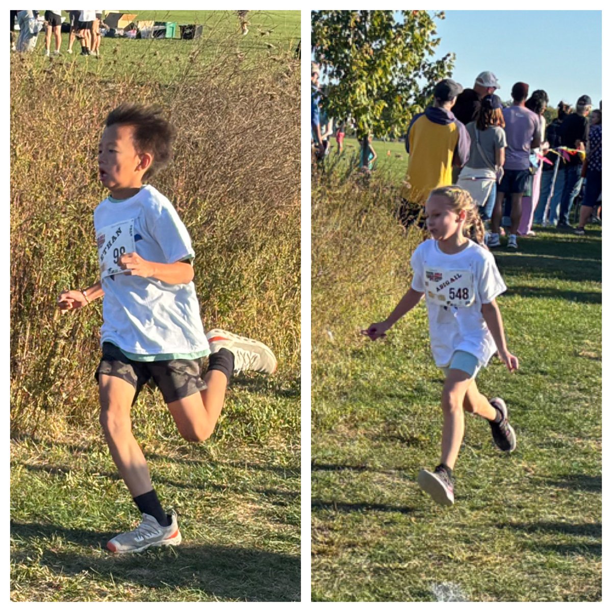 Mr. Petroff tweet media