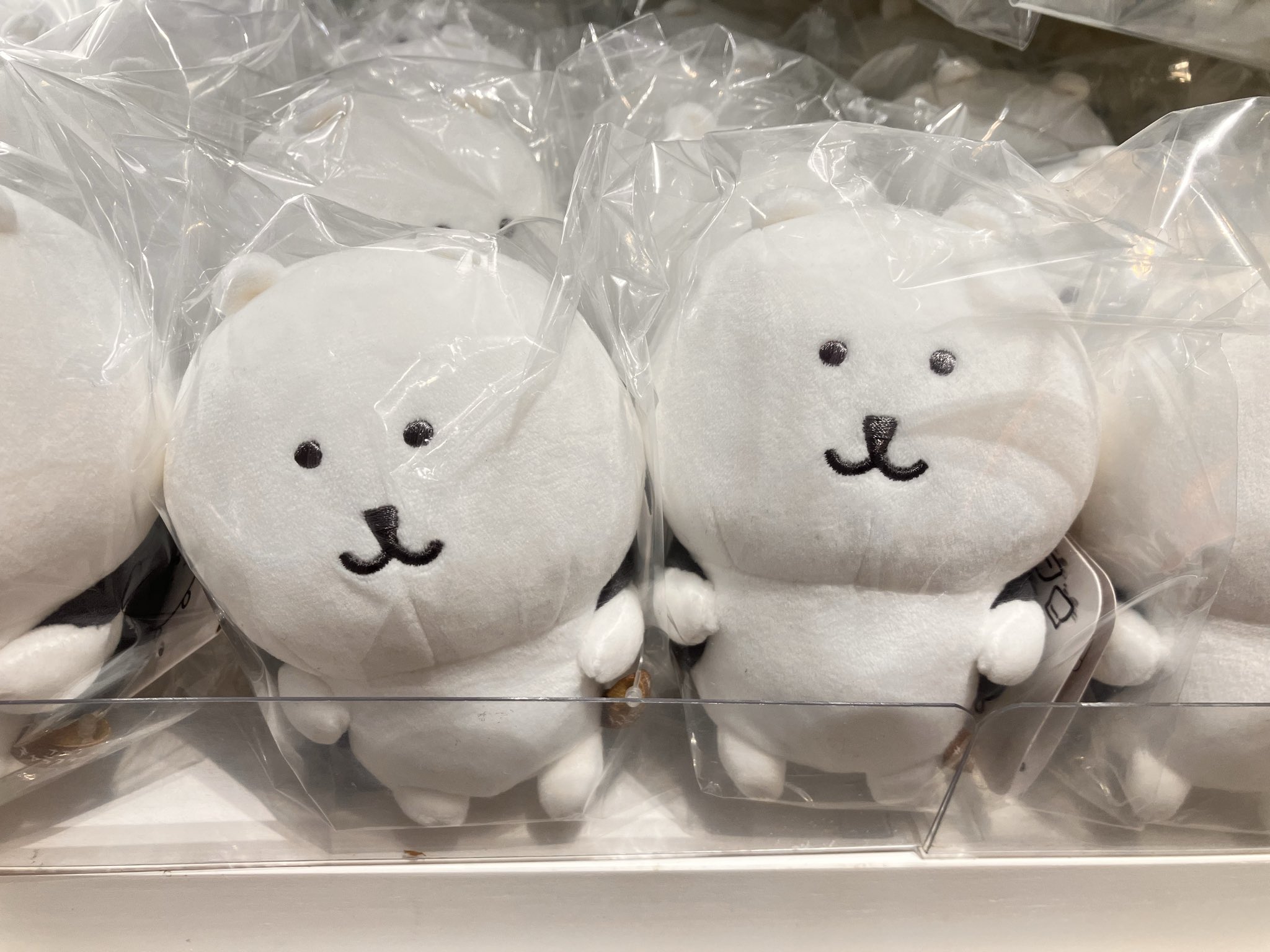 ナガノキャラクターズ ナガノのくま くろねこ 作務衣 芋栗かぼちゃ 4点