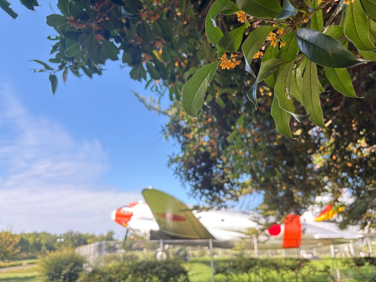 所沢航空記念公園【公式】 on X: 