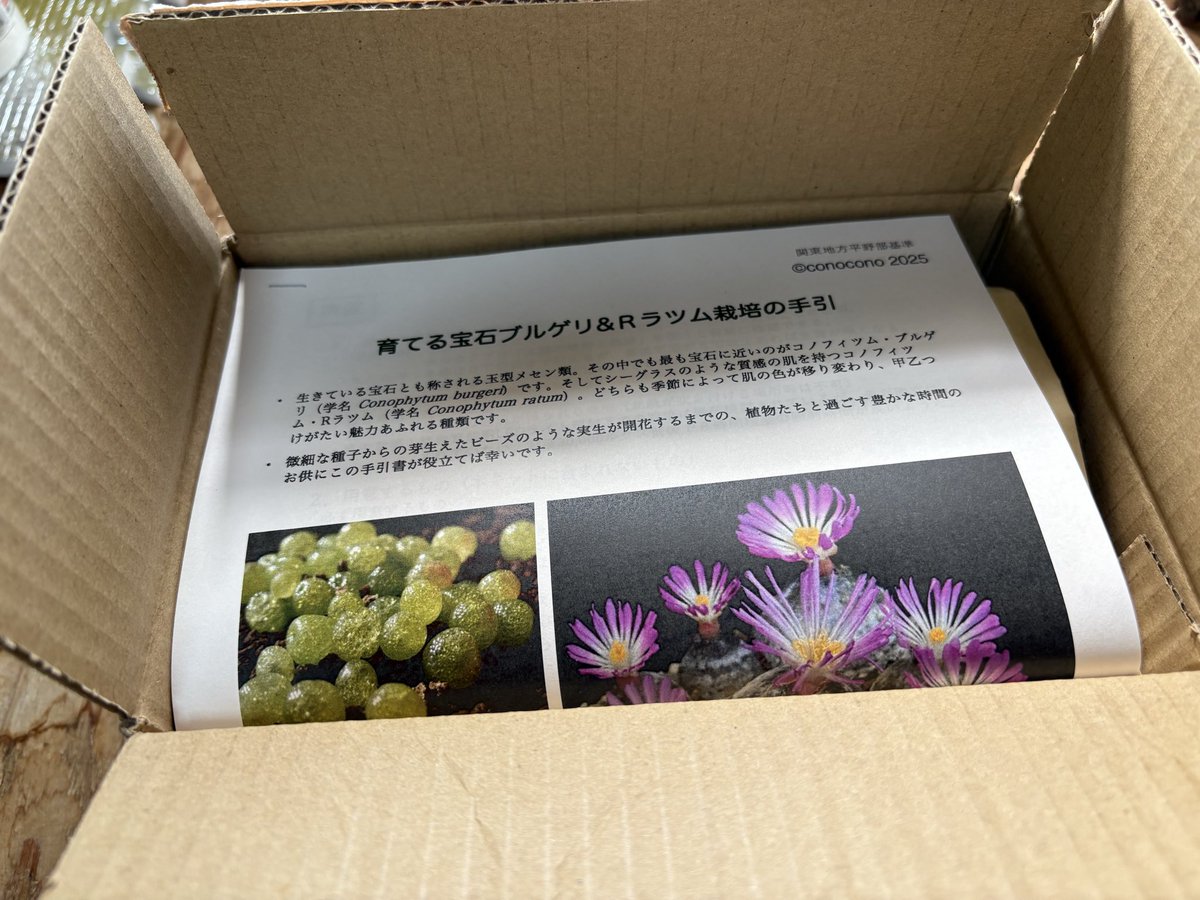 うめぴー (@love80118844) / Posts / X