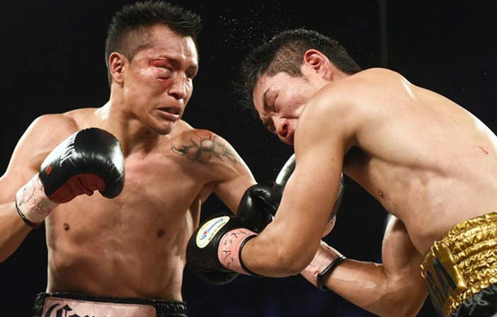 Fan del Box tweet media