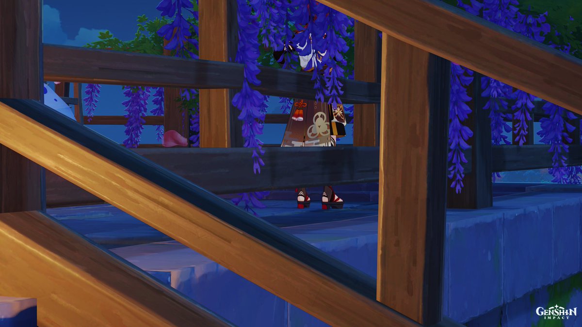 DailyZoomLens tweet picture