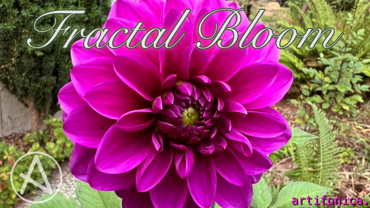 artifonica tweet media