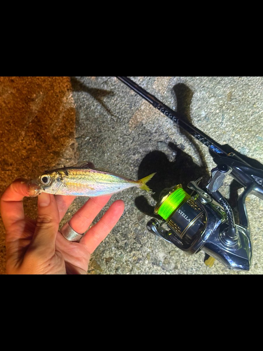 eging girl 💖 on X